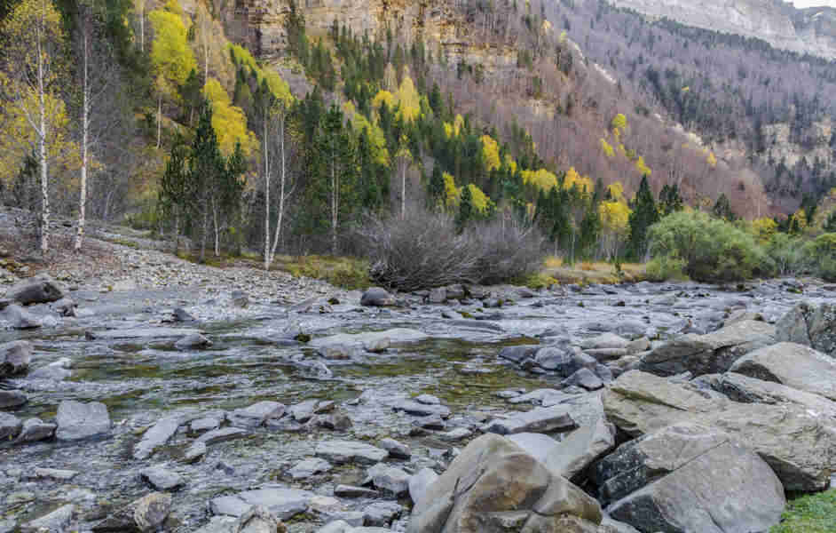 Huesca - parque nacional de Ordesa y Monte Perdido - valle de Ordesa 126 - rio Arazas.jpg